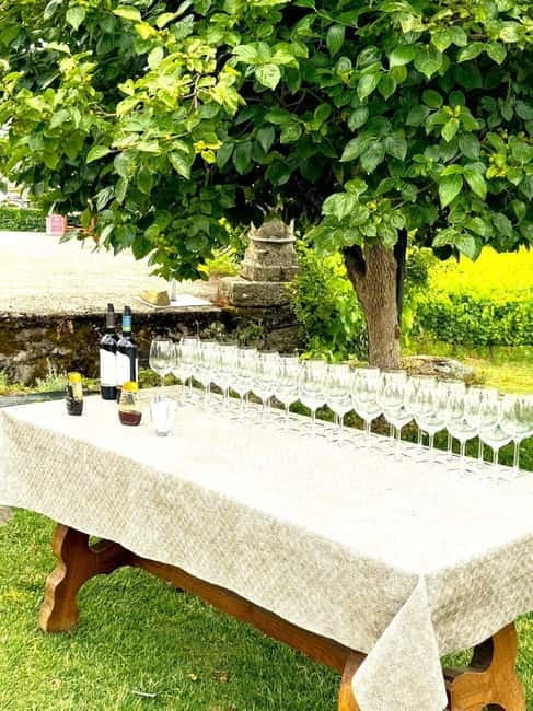 Porto: Douro Valley Tour with 3 Wineries and Lunch - Journey into Portugal’s Most Famous Wine Region