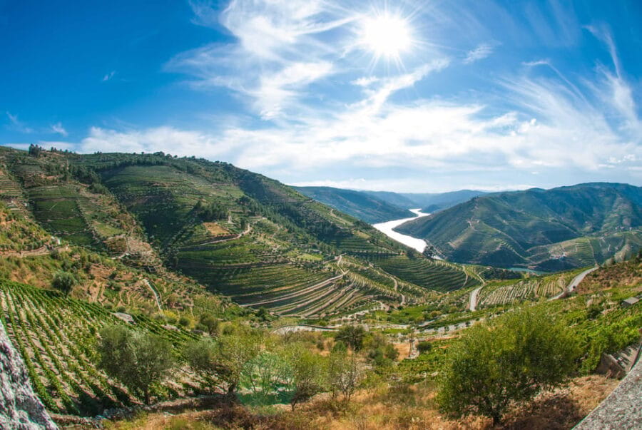 Porto: Douro Valley Wine Tour with Lunch, Tastings & Cruise - Who Will Love This Tour and Who Might Not?