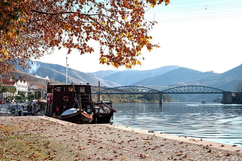 Porto: Douro Wine Tour with Lunch and River Cruise - The Itinerary: What to Expect from Start to Finish