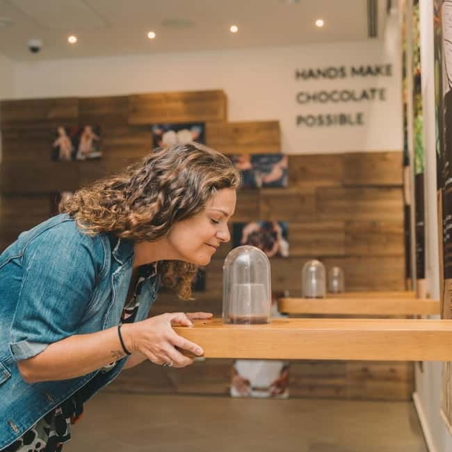 Porto: Entry Ticket at WOW The Chocolate Experience by 20|20 - Exploring the History of Cacao: From Sacred Roots to Global Treat