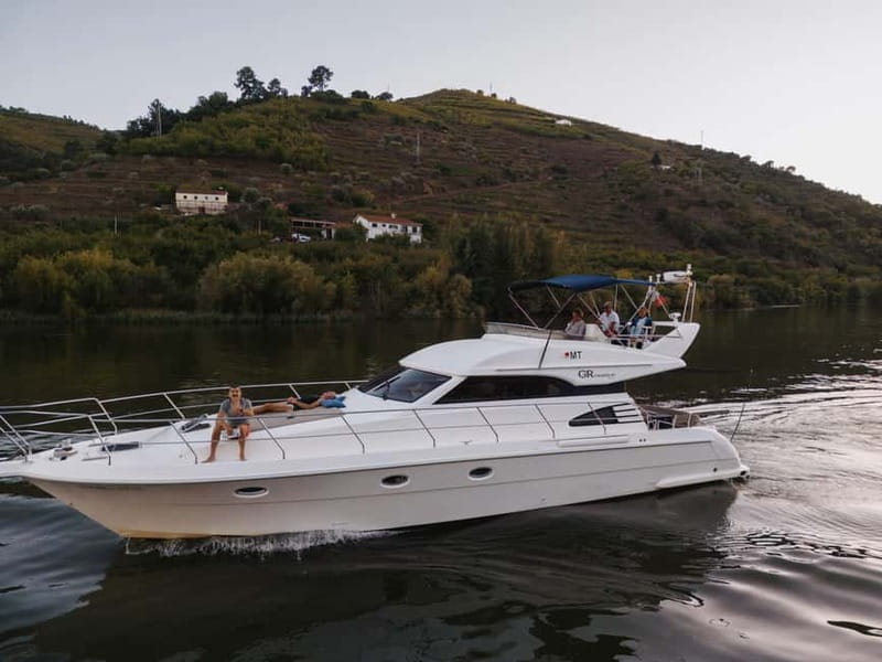 Porto: Full Day Douro River Cruise from Porto to Régua - Setting the Scene: An Overview of the Douro River Cruise