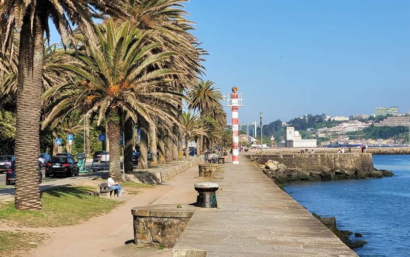 Porto-Gaia-Matosinhos: Private Half-Day Panoramic Tour - Key points / Takeaways