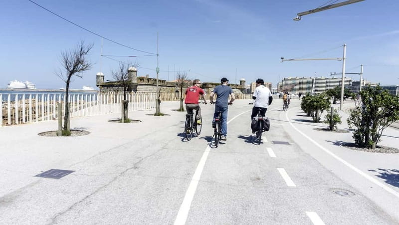 Porto Private E-Bike Tour: Douro River, Parks & Beaches - Discover Porto on Two Wheels: A Close-Up Look at the Experience