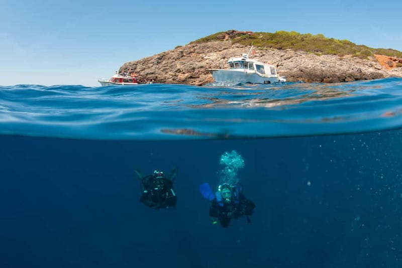 Porto Santo Stefano: Scuba Diving Boat Trip with Lunch - What You’ll See Underwater: The Key Dive Sites