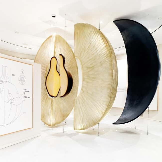 Porto: Taylors Port Cellar Tour & WOW Wine Experience - Value and Who Will Love This Tour