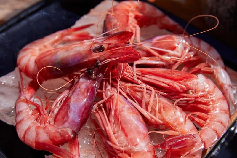 Portofino: boat tour with seawalker 33 - A Closer Look at Whats Included