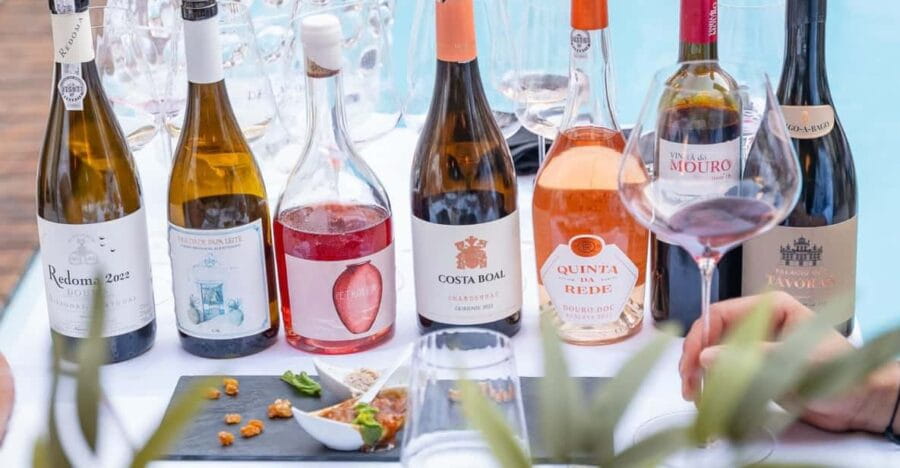 PORTUGUESE WINE TASTING IN THE HEART OF FARO - Practical Details: How It Works