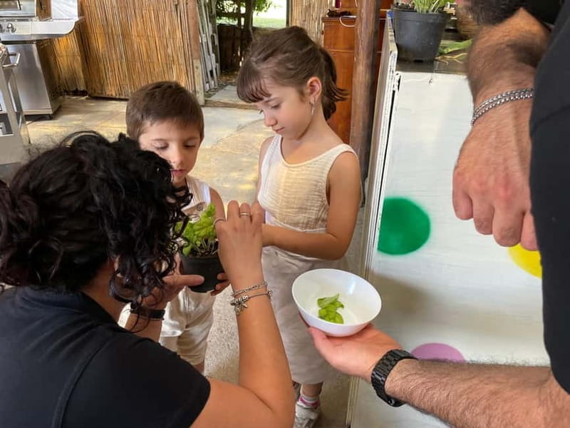 Positano: Cooking class and tasting with a view of the Galli Islands - Logistics and Practicalities