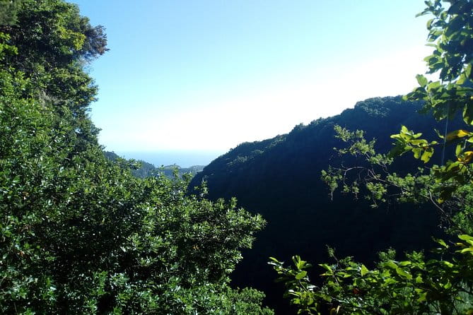 PR18 Levada do Rei with Local Guide - Logistics and Value