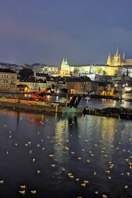 Prague: River Cruise with Transfer to Pier - What You Can Expect During Your Cruise