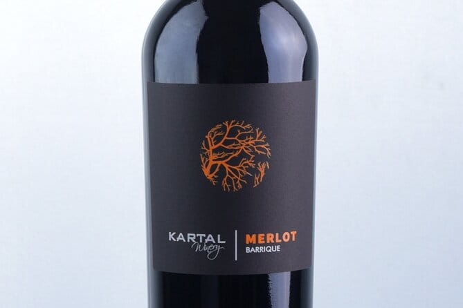 Premium Oak Aged Wines Tasting Tour in Family Winery Kartal in Skopje - The Itinerary: What to Expect at Each Step