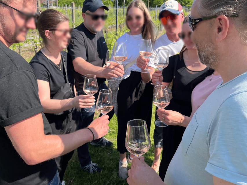 Premium wine hike Stuttgart with games and winemaker's snack - Starting the Journey: Easy Access and Comfort