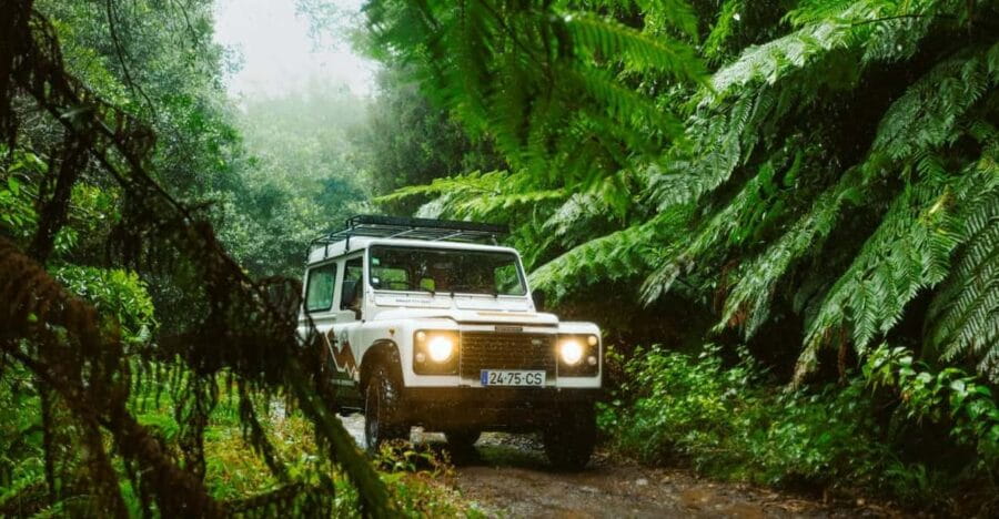 Priv. East: 4x4 Tour|Pico do Areeiro|Santana Typical Houses| - Discovering Santana’s Traditional Houses