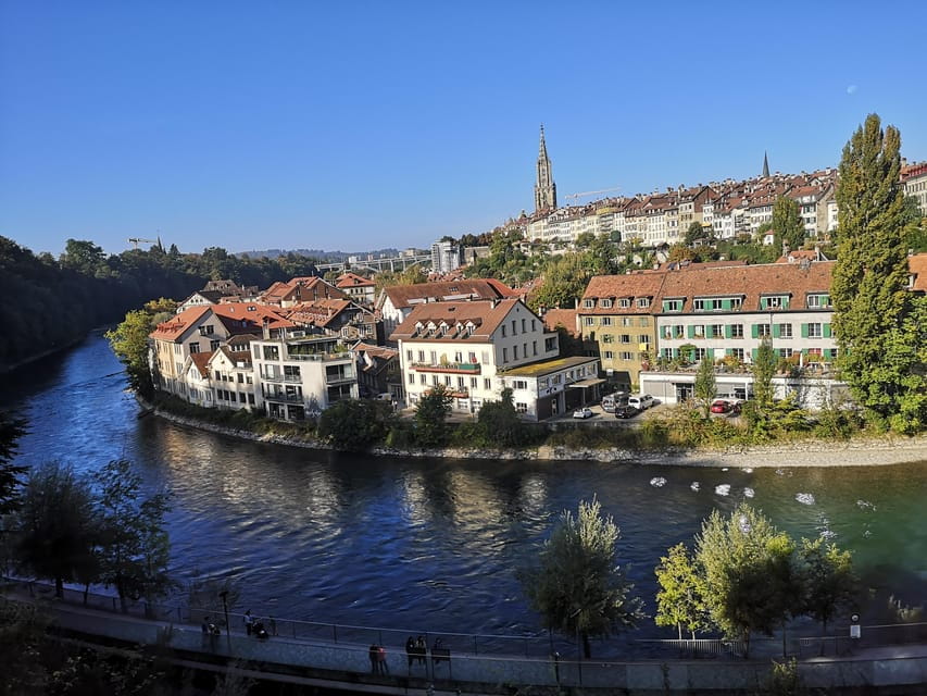 Privat tour Zurich - Bern - Emmental show dairy - The Emmental Show Dairy: Watching Cheese Come to Life