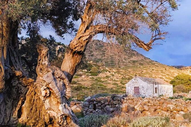 Private Aegina Island Tour with a Local Certified Guide - FAQ