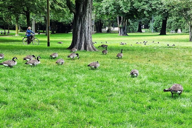 Private audio book city rally in the Volksgarten in Cologne - Exploring the Tour: What to Expect in Detail