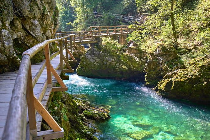 Private Bohinj & Vogel Tour from Bled - Price and Value Analysis