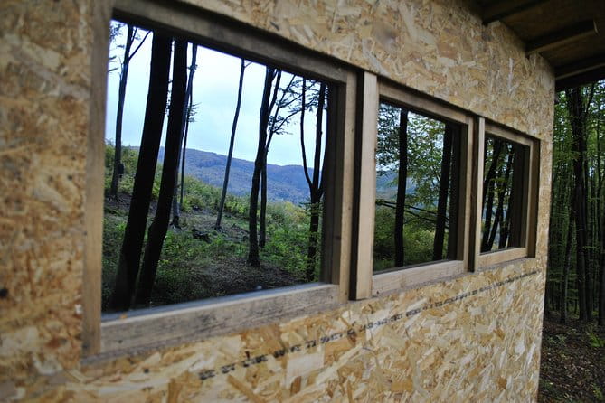 Private Brown Bear Watching Experience near Odorheiu Secuiesc - Frequently Asked Questions (FAQs)