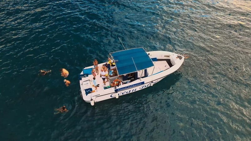 Private Charter Private Charter to see the whales - 3 Hours - Value and Practical Tips