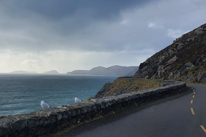 Private Chauffeur Service From Killarney to Shannon Airport - FAQ