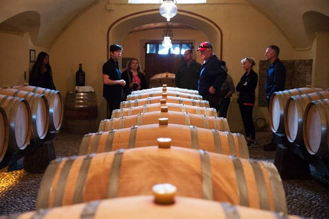 Private Chianti and SuperTuscan Tour 2 wineries with Light Lunch from Livorno - Visiting Two Historic Wineries—What to Expect