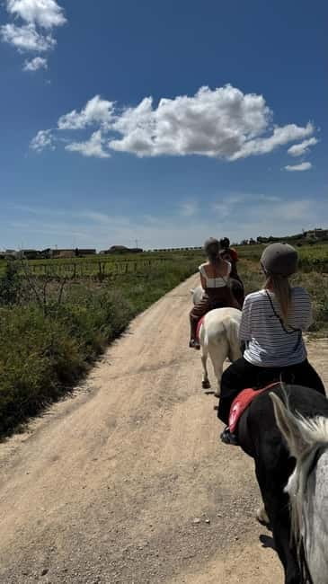 Private Chianti Horseback Riding Wine Tasting + Lunch - Visiting a Historic Chianti Wine Estate
