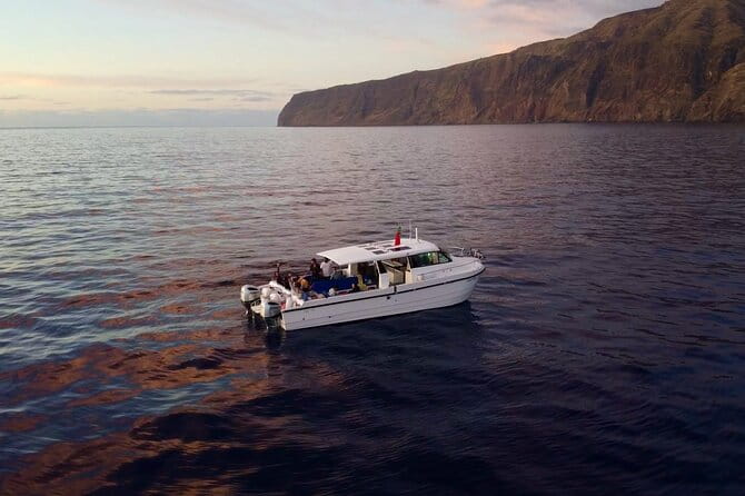 Private Cruise to Calheta and Caniçal Coasts - Who Should Book This Experience?