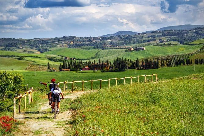 Private E-bike Tour in Chianti from San Gimignano - The Vineyard & Wine Tasting Lunch: A True Taste of Tuscany