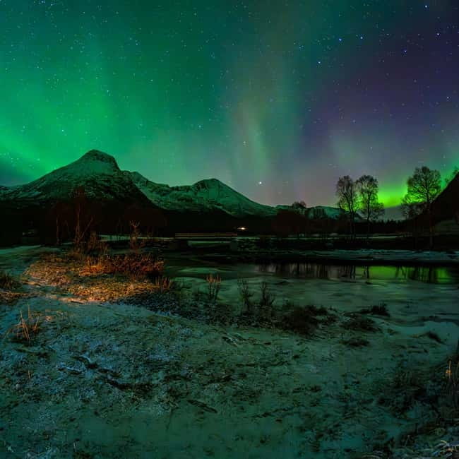 Private Eco Friendly Northern Lights Tour - The Scenic Stops and Wildlife Safari