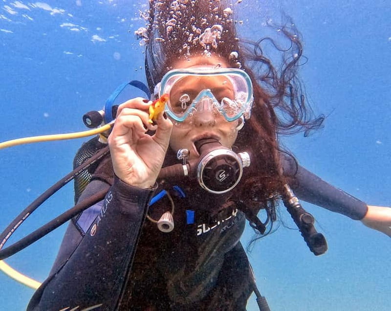 Private Eco Scuba Diving in Tenerife: no crowds and no rush - Breaking down the itinerary: A detailed look