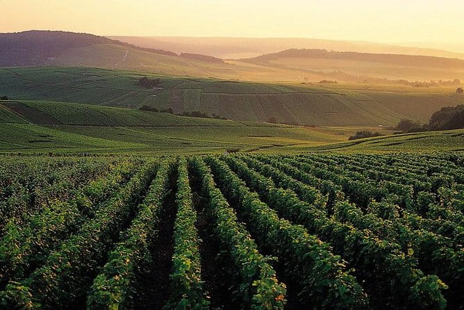 Private Full-Day Tour of Champagne Region - Discovering the Champagne Region: An Authentic Day Trip from Paris