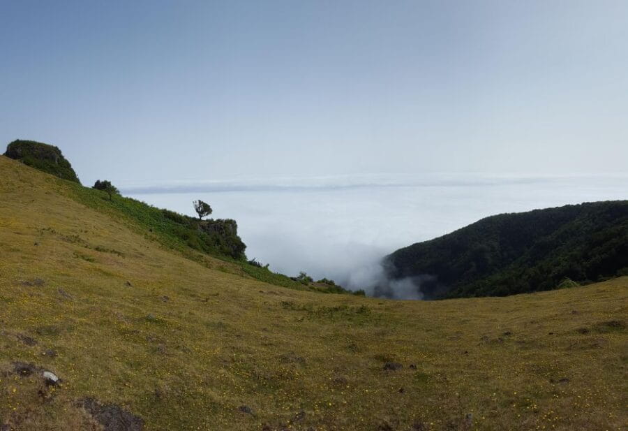 Private Full-Day Tour of North Coast and Laurissilva Forest - Why This Tour Is a Win for Nature and Culture Enthusiasts