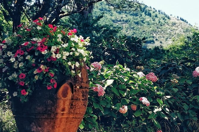 Private full day tour to Capri with grottos - Who This Tour Is Best For