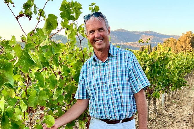 Private Full Day Wine Tour in Provence from Toulon Cruise Port - Lunch and Town Exploration: A Flexible Afternoon