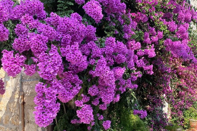 Private Game of Thrones Tour with King's Landing Garden - Mount Srd: Panoramic Views and a Hidden GOT Spot