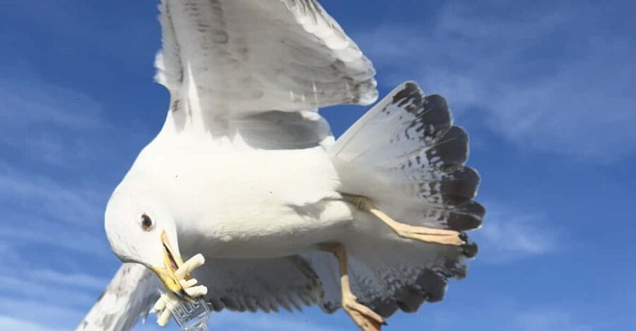 Private Guided Istanbul Luxury Tour (Tickets and Transfers) - The Sum Up