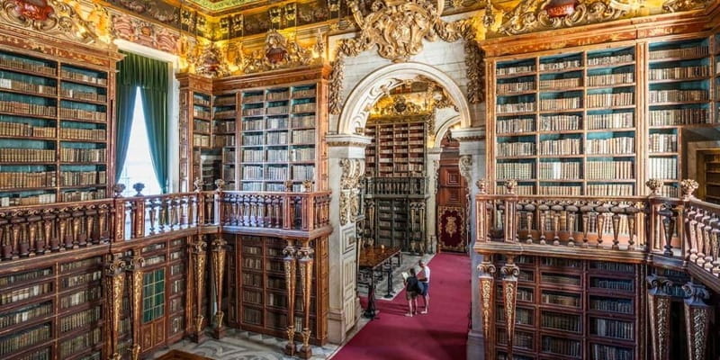 Private Guided Tour: Coimbra Best Of - Exploring the Iconic University of Coimbra