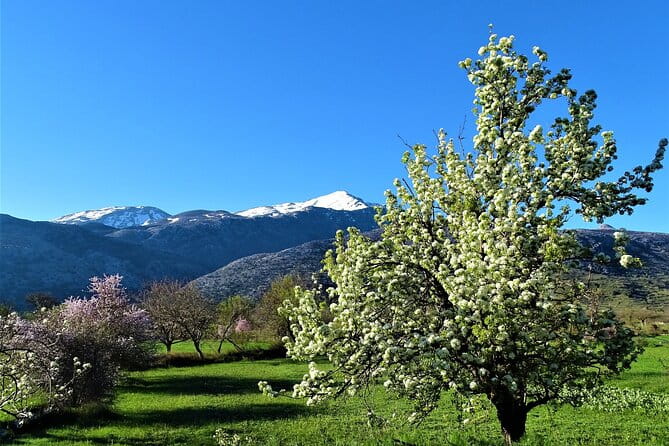 Private Guided Tour to Lasithi Plateau Villages & Olive Oil Mill - FAQ