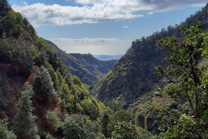 Private Guided Walk Ponta do Sol Levada Moinho - Entering Madeira’s Natural Majesty: The Levada Experience