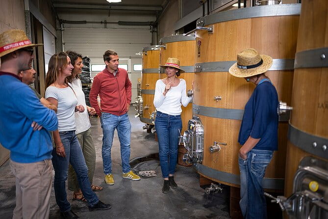 Private Half-Day Languedoc Wine Tour from Sète - Discovering Château Saint Martin De La Garrigue