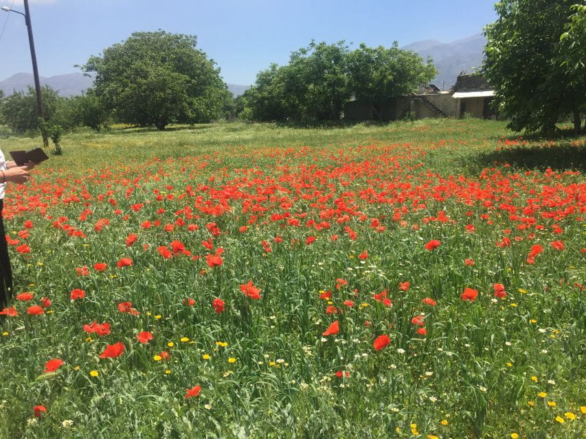 Private-Knossos Palace-Zeus Cave-Villages-Olive Oil Factory - The Mythical Cave of Zeus and Scenic Village Stops