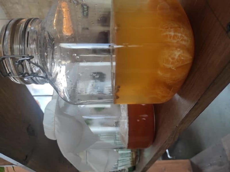 Private Kombucha Making Workshop in Cyprus - Unpacking the Experience: What You Can Expect