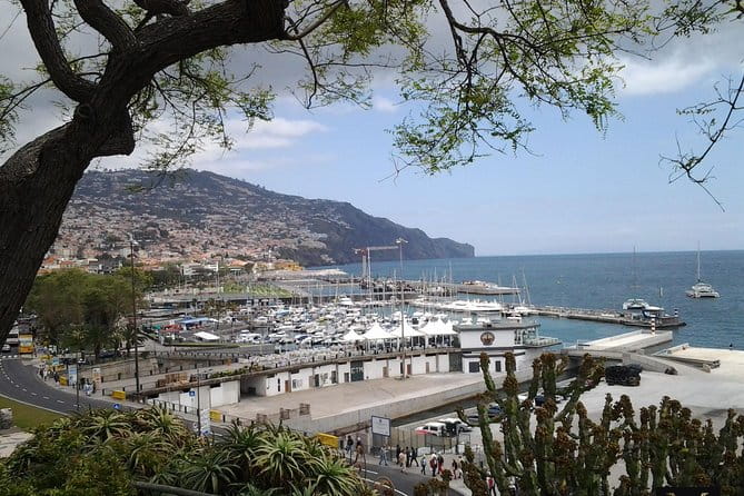 Private Madeira Tour up to 4 people - The Sum Up