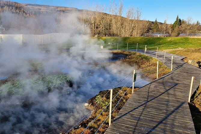 Private Northern Lights Adventure With Secret Lagoon and Dinner - Savoring Icelandic Cuisine in a Family-Run Restaurant