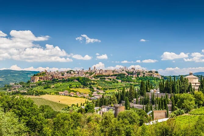 Private Orvieto Daytrip from Rome with Winery Visit - Wine Tasting with a View