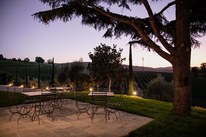Private Plus Montalcino Wine Tasting in Paradise - Who Will Love This Tour?