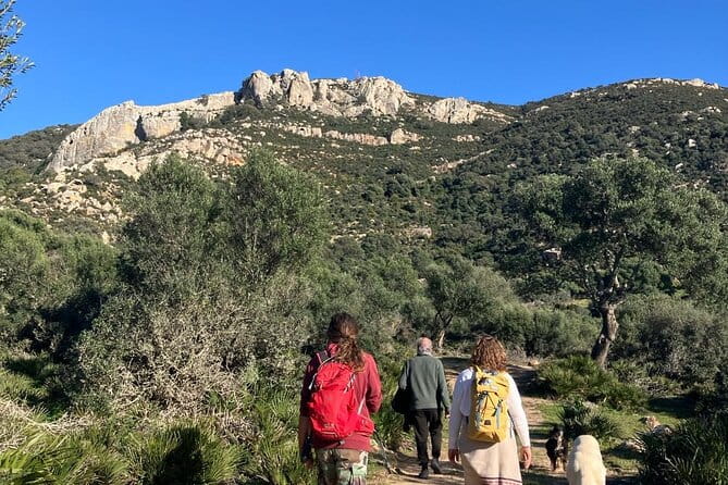 Private Prehistoric and Ancient Tour in Strait Natural Park - The Sum Up: A Truly Unique Journey into the Heart of Tarifa’s Mystical Past