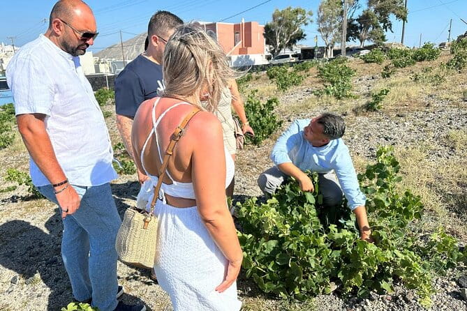 Private Santorini Wine Tour: Explore Top 3 Wineries & Best Views - Price, Duration, and Overall Value