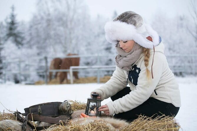 Private Sleigh Ride with Finnhorse - An In-Depth Look at the Private Finnhorse Sleigh Ride