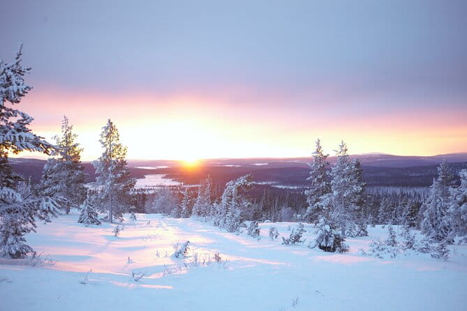 Private: Snowshoeing Safari in spectacular National Park - Why This Tour Excels